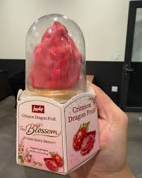 Crimson Dragon Fruit Ice Cream